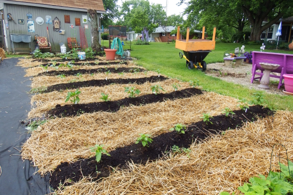 Early June garden