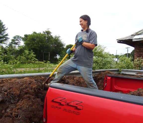 Shoveling horse manure