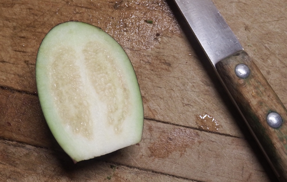 Eggplant seeds