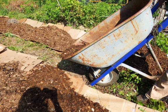 Dumping manure