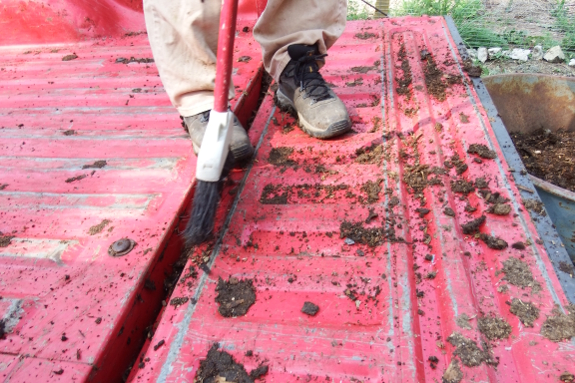 Sweeping manure