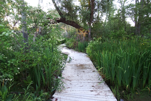 Embayment wetland