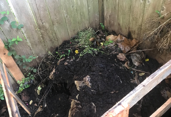 Coffee ground compost pile