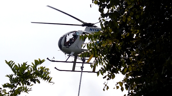 Tree helicopter