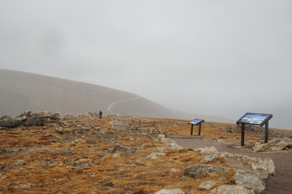 Alpine tundra