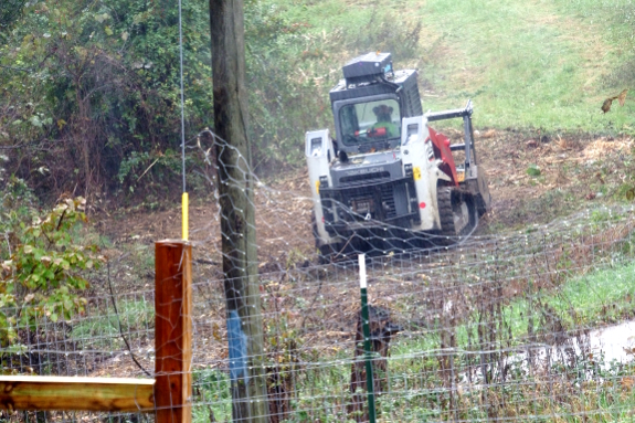 Powerline clearing