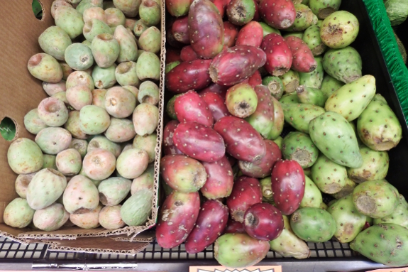 Cactus fruits