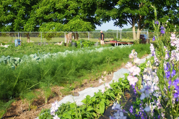 Ohio University garden