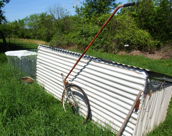 Bicycle wheel chicken tractor