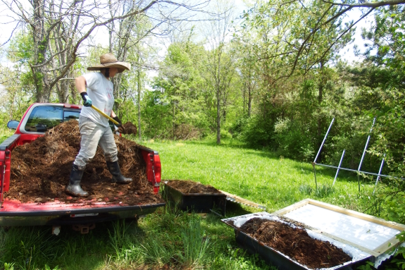 Filling worm bins