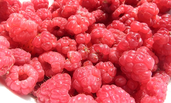 Raspberries