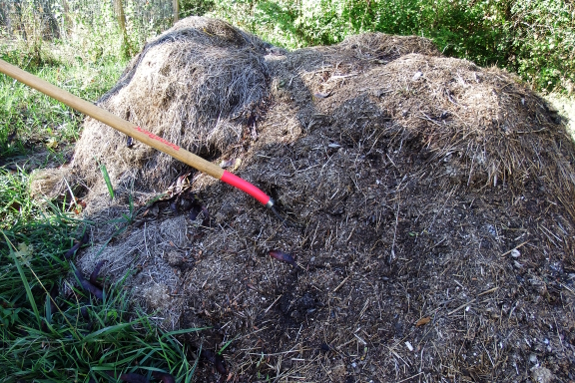 Manure pile