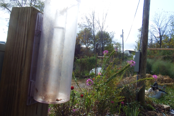 Rain gauge