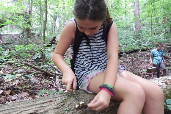 Girl gathering mushrooms