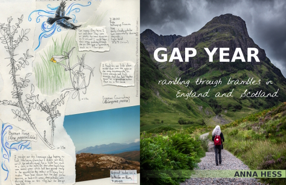 Gap Year cover