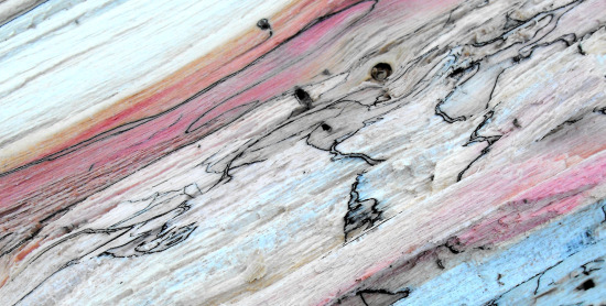 Patterns in rotten firewood