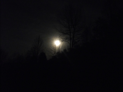 Full moon on the farm