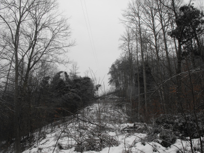 Electric line against a gray sky