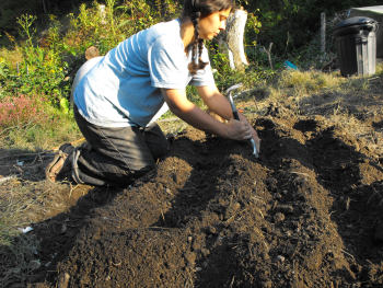 Our modified double-dug raised bed