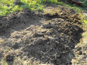 Bed fully dug