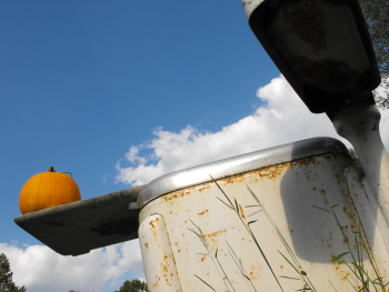 Pumpkin on a wringer washer