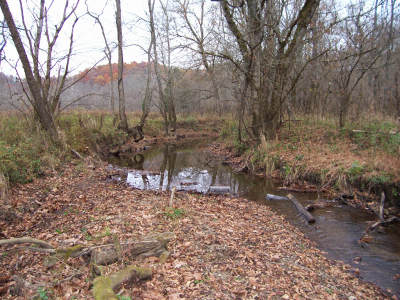 The creek before construction