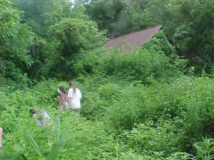 2003 Farm view