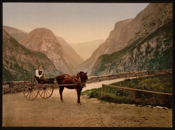 Norwegian horse and wagon