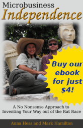Microbusiness Independence: Buy our ebook for just $4!