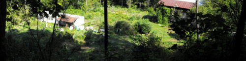 Two year panorama