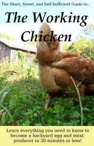 The Working Chicken Book