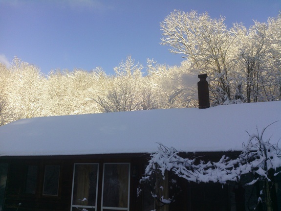 snowy home