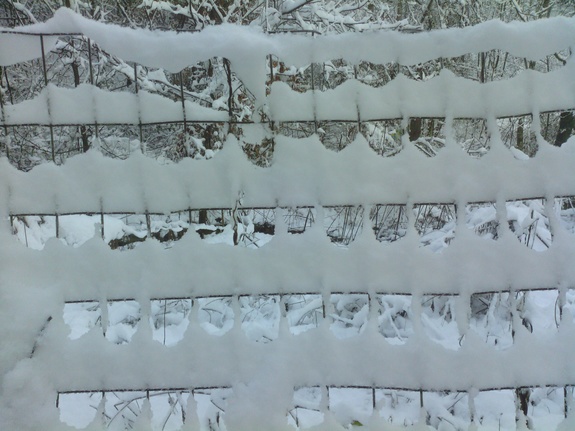 snow on wires